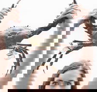 The Ultimate Gold Coast Attractions Pass - Kawana Tourism