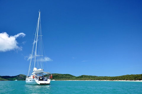 Sailing Curlew Escape On Moreton Bay - Kawana Tourism 5