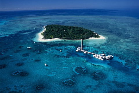 Green Island Day Trip Including Seawalker Helmet Dive COMBO - Kawana Tourism 5