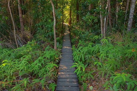 One Day Litchfield Park Adventures - Kawana Tourism 4