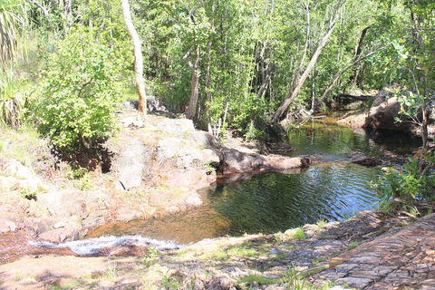 Jumping Crocodile Cruise And Berry Springs Nature Park - Kawana Tourism 3
