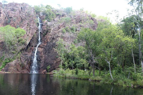 Jumping Crocodile Cruise And Berry Springs Nature Park - Kawana Tourism 5