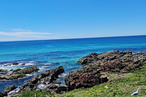 Private Custom Byron Bay Day Out - Kawana Tourism 4