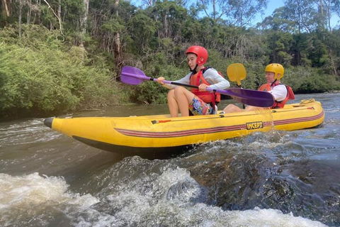 Yarra River Half-Day Rafting Experience - Kawana Tourism 1