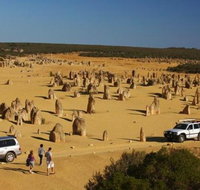 1-Day Pinnacles and Yanchep Tour from Perth including Fish and Chips Lunch - Kawana Tourism