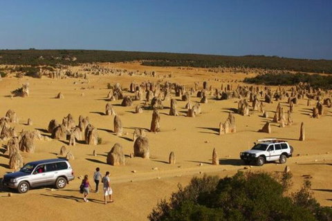 1-Day Pinnacles And Yanchep Tour From Perth Including Fish And Chips Lunch - Kawana Tourism 0