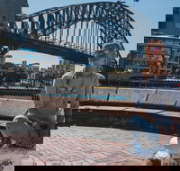 Sydney Private Tours by Locals 100 Personalized See the City Unscripted - Kawana Tourism