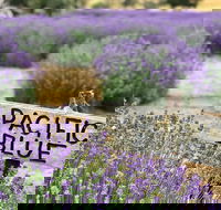 Kangaroo Island Food and Wine Trail Tour - Kawana Tourism