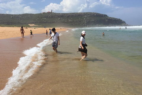 Small-Group Sydney's Northern Beaches And Ku-ring-gai National Park Bus Tour - Kawana Tourism 5