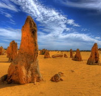 Pinnacles Desert  New Norcia Day Tour from Perth - Kawana Tourism