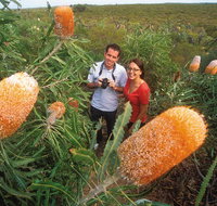 Best of Perth Wildflower Season Day Trip - Kawana Tourism