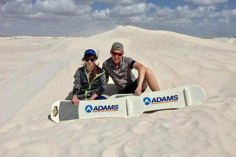 Full Day Pinnacle Desert Explorer From Perth Including Hillarys And Lancelin Sandboarding - Kawana Tourism 4