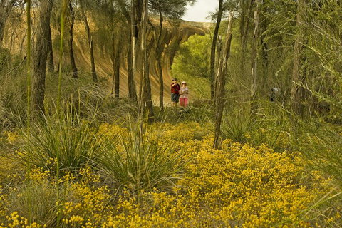 2-Day Wave Rock, York, Wildflowers & Aboriginal Experience - Kawana Tourism 2