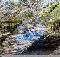 Small-Group Buggy Tour at Little Sahara with Guide - Kawana Tourism