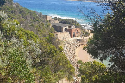 Fort Nepean And Quarantine Station Tour - Kawana Tourism 4