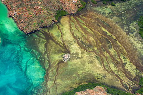 Fly The Falls Tour - Kawana Tourism 0