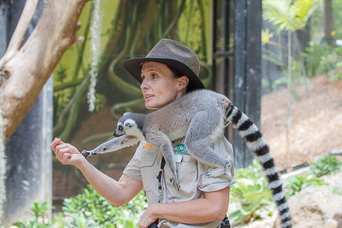Currumbin Wildlife Sanctuary General Entry Ticket - Kawana Tourism 1