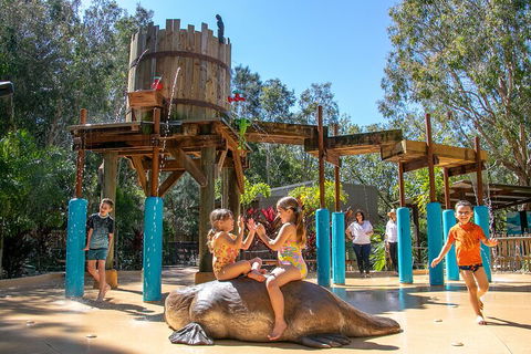 Currumbin Wildlife Sanctuary General Entry Ticket - Kawana Tourism 5