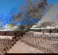 Private Cultural and Historical Painted Desert Tour in Hermannsburg - Kawana Tourism