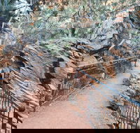 West MacDonnell Ranges Half - Day Tour - Kawana Tourism