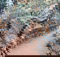 West MacDonnell Ranges Half-Day Private Charter Guided Tour - Kawana Tourism