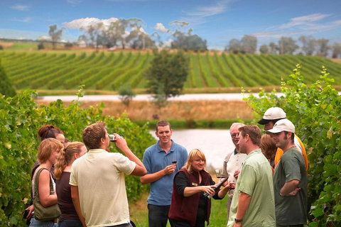 Yarra Valley Wine And Winery Tour From Melbourne - Kawana Tourism 0