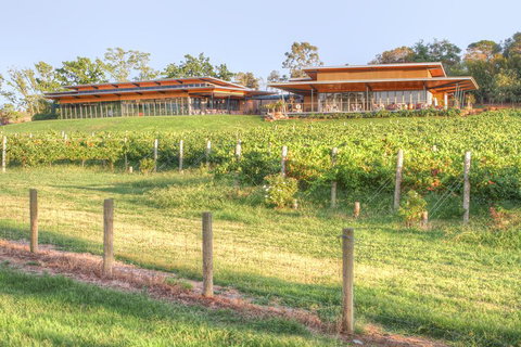 Yarra Valley Wine And Winery Tour From Melbourne - Kawana Tourism 1