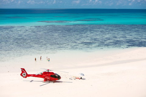 Private Helicopter Tour: Reef Island Snorkeling And Gourmet Picnic Lunch - Kawana Tourism 2