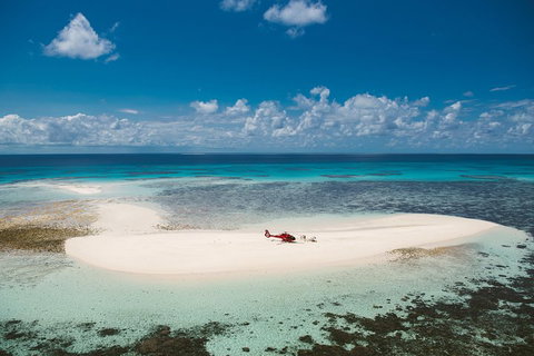 Private Helicopter Tour: Reef Island Snorkeling And Gourmet Picnic Lunch - Kawana Tourism 4