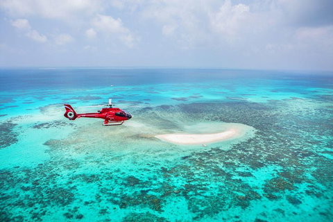 Private Helicopter Tour: Reef Island Snorkeling And Gourmet Picnic Lunch - Kawana Tourism 5
