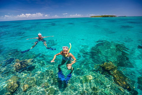 Fly To Green Island - Cruise Return - Kawana Tourism 4
