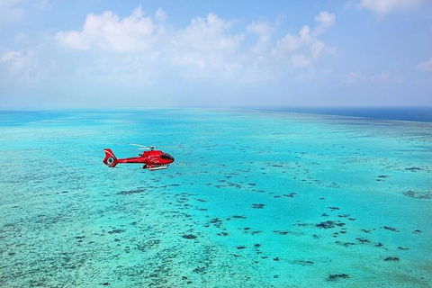 Ultimate Great Barrier Reef And Rainforest 45-minute Helicopter Tour - Kawana Tourism 2