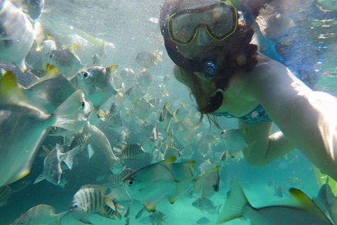 2-Day Moreton Island 4WD Camping Tour From Brisbane - Kawana Tourism 0