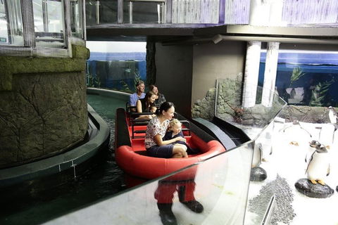 Sydney Attractions Pass: SEA LIFE Aquarium, Sydney Tower Eye, WILD LIFE Zoo And Madame Tussauds - Kawana Tourism 0