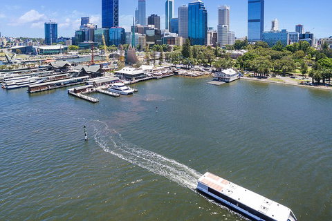 Summer Lunch Cruise - Kawana Tourism 2