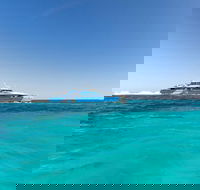 Rottnest Island Bayseeker Day Trip from Perth - Kawana Tourism