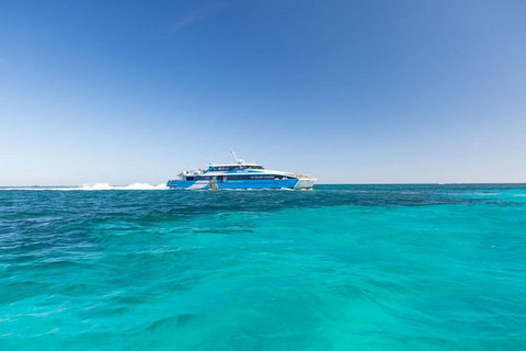Rottnest Island Bayseeker Day Trip From Perth - Kawana Tourism 0