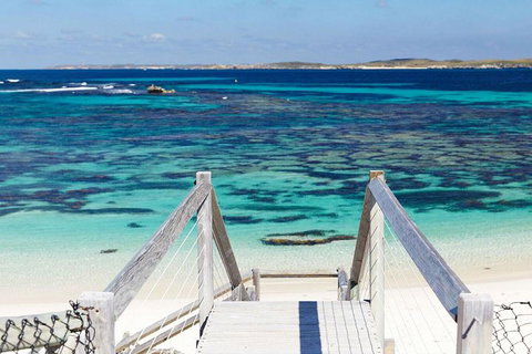 Rottnest Island Bayseeker Day Trip From Perth - Kawana Tourism 3