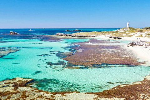 Rottnest Island Bayseeker Day Trip From Perth - Kawana Tourism 4