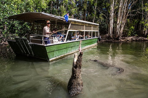 Hartley's Crocodile Adventures Day Trip From Cairns - Kawana Tourism 2