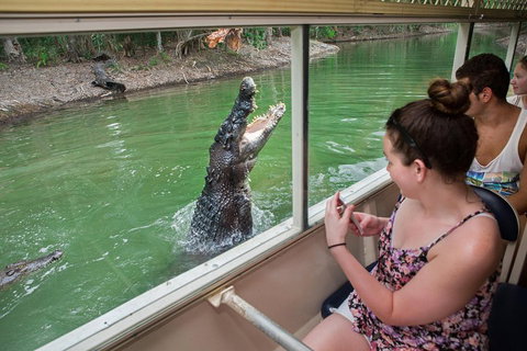 Hartley's Crocodile Adventures Day Trip From Cairns - Kawana Tourism 3