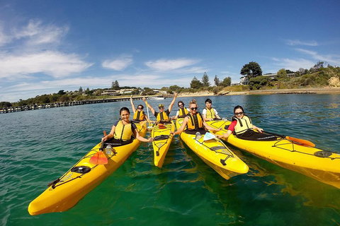 Mornington Peninsula Kayak Coastline Tour Of Dolphin Sanctuary - Kawana Tourism 2