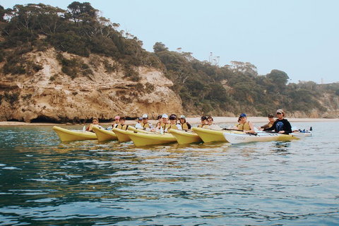 Mornington Peninsula Kayak Coastline Tour Of Dolphin Sanctuary - Kawana Tourism 4