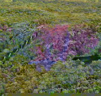 Litchfield Park  Daly River - Scenic Flight From Darwin - Kawana Tourism