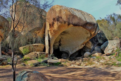 Wave Rock Half Day Air & Ground Tour - Kawana Tourism 1