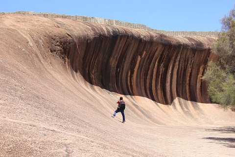 Wave Rock Half Day Air & Ground Tour - Kawana Tourism 3