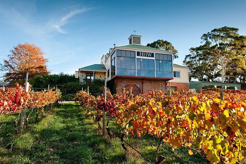 Adelaide Hills Food, Wine, Cheese, & Chocolate - Private Day Tour - Kawana Tourism 3
