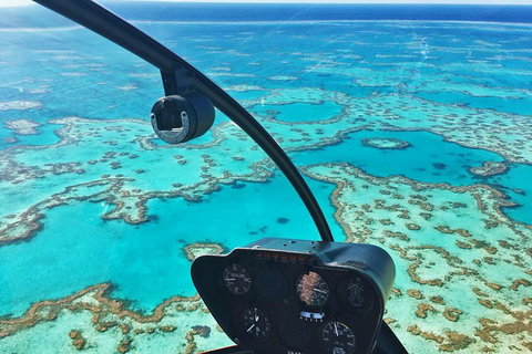 Reef & Whitehaven Landing - Kawana Tourism 1