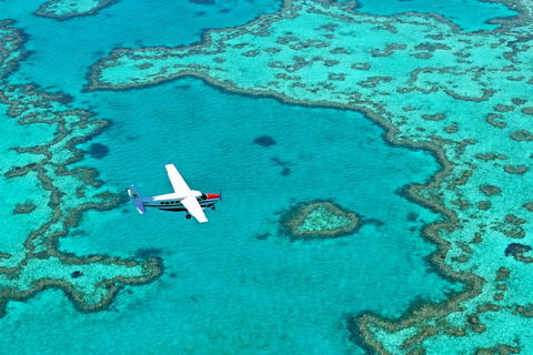 Fly & Sail Package (With Providence) - Kawana Tourism 4