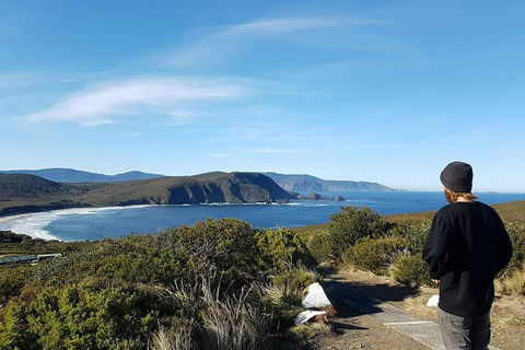 Small-Group Day Trip From Hobart To Bruny Island - Kawana Tourism 0